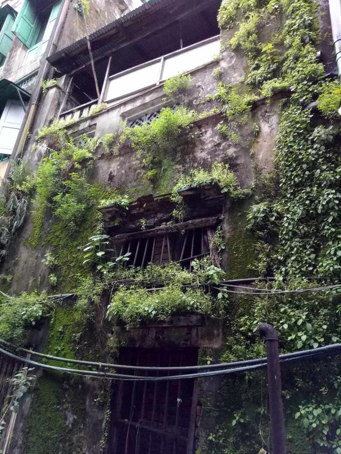 Baobabed Hostel Yangon, Myanmar Eksteriør billede