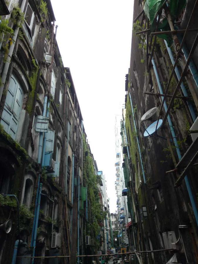 Baobabed Hostel Yangon, Myanmar Eksteriør billede
